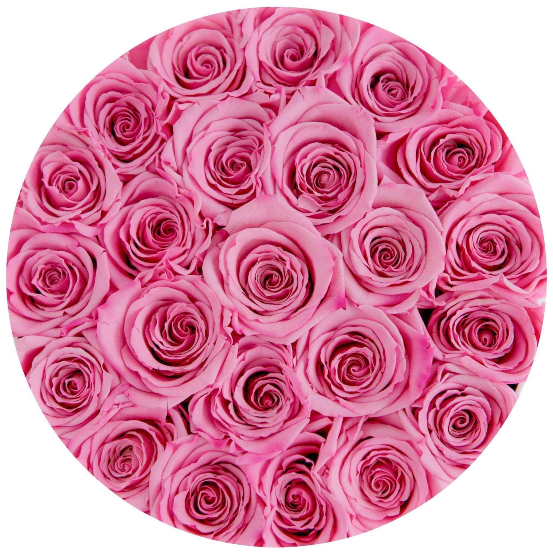Pink Roses Classic Candy Pink Roses That Last A Year - Classic Rose Box – Palatial Petals