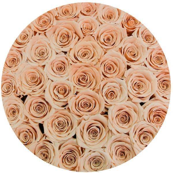 Champagne Roses That Last A Year - Grande Rose Box