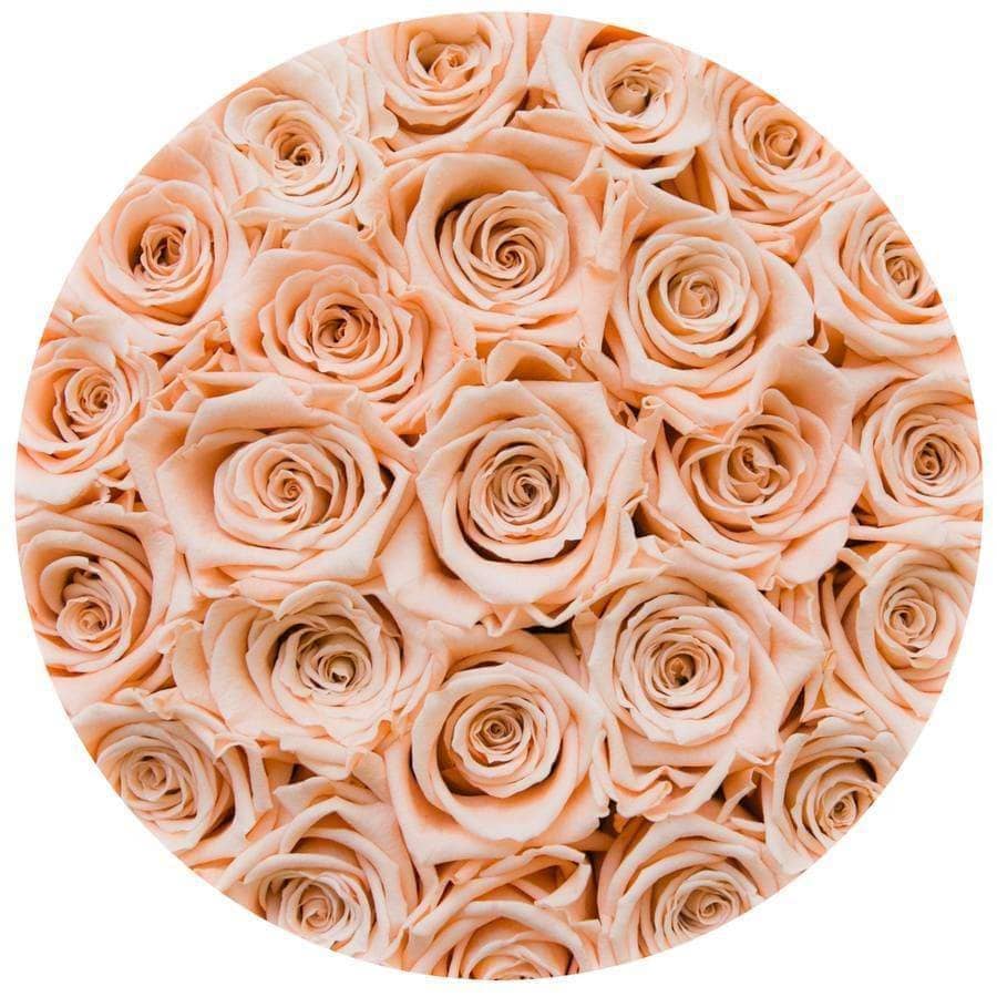 Champagne Roses That Last A Year - Classic Rose Box