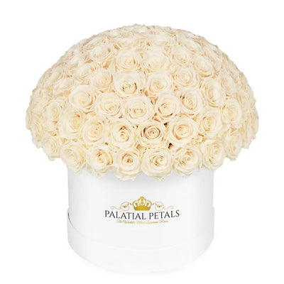 Champagne Roses That Last A Year - Grande "Crown" Rose Box