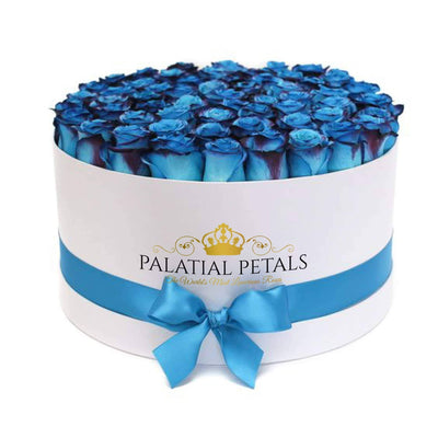 Coral Blue Roses That Last A Year - Deluxe Rose Box