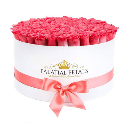 Coral Roses That Last A Year - Deluxe Rose Box
