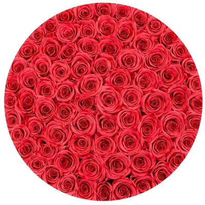 Coral Roses That Last A Year - Deluxe Rose Box