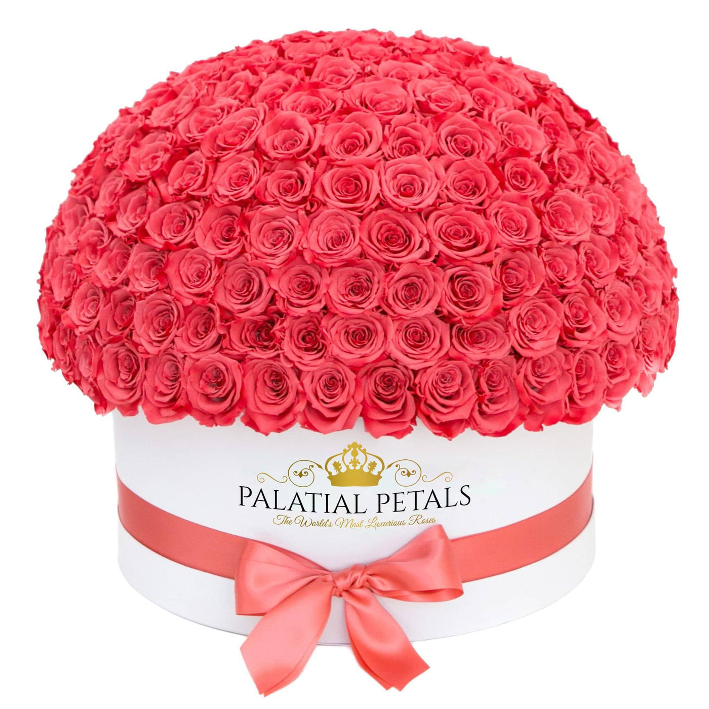 Flamingo Roses That Last A Year (Dome) - Deluxe Rose Box