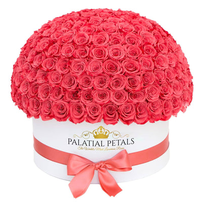 Flamingo Roses That Last A Year (Dome) - Deluxe Rose Box