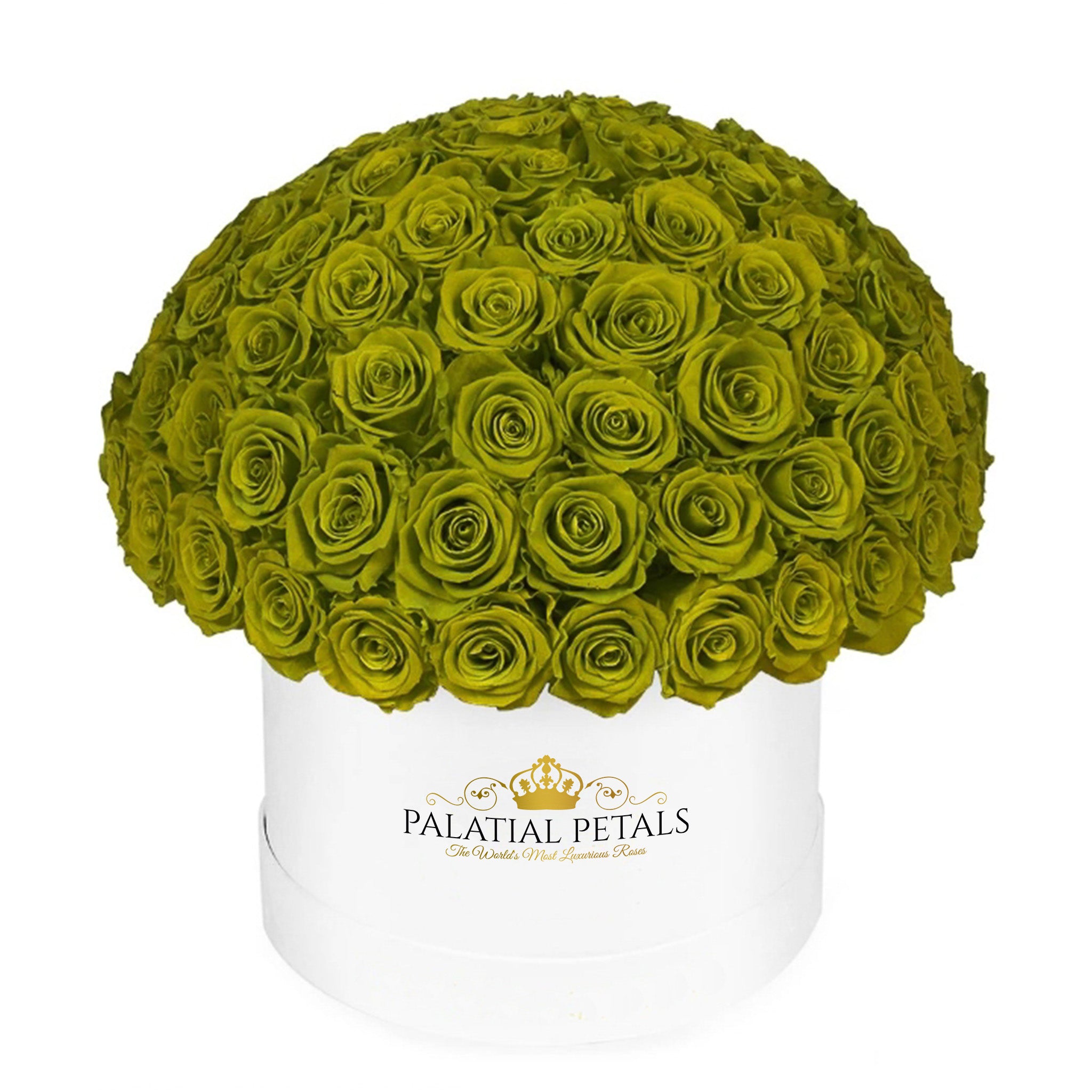 Emerald Green Roses That Last A Year - Grande