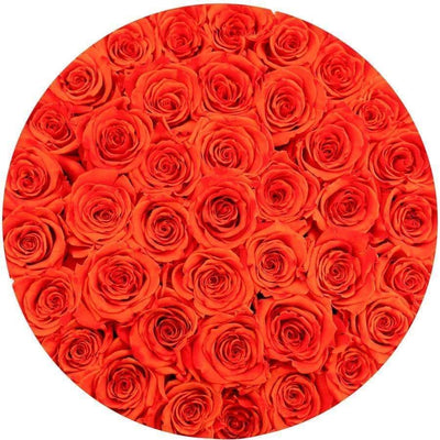 Hermès Orange Roses That Last A Year - Grande Rose Box