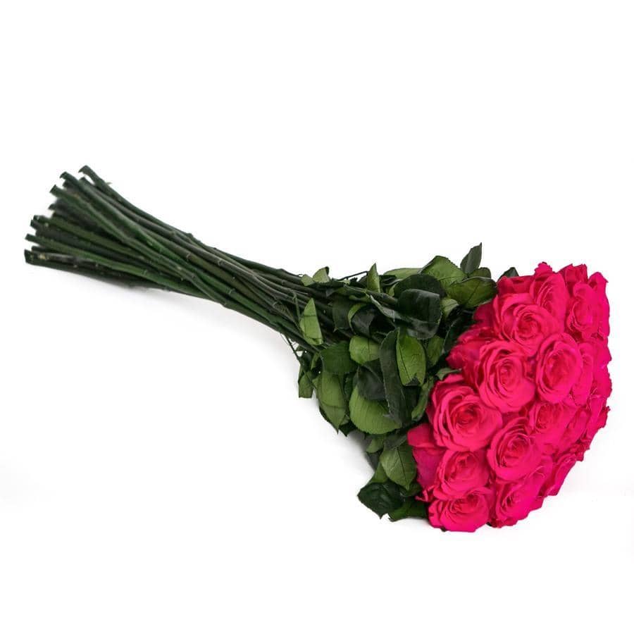 PALATIAL PETALS® Hot Pink - Long Stem Roses