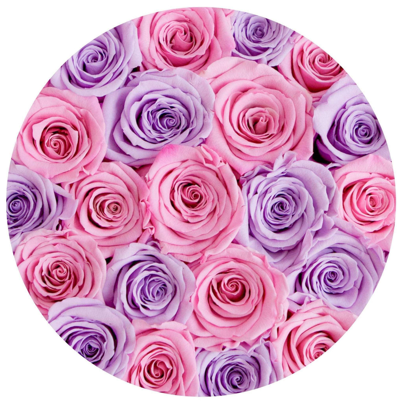 Lavender & Pink Roses That Last A Year - Classic Rose Box