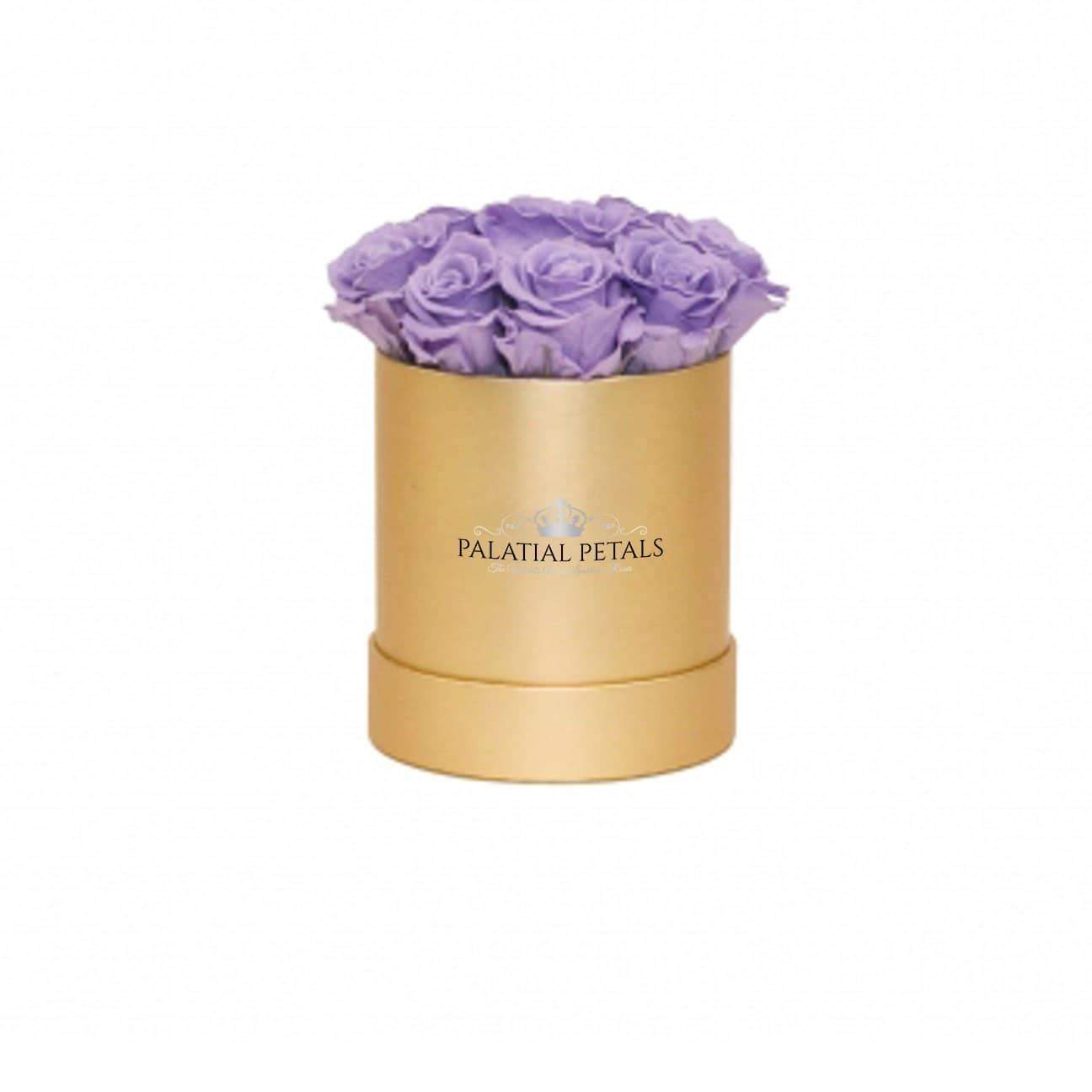 Lavender Roses - Petite