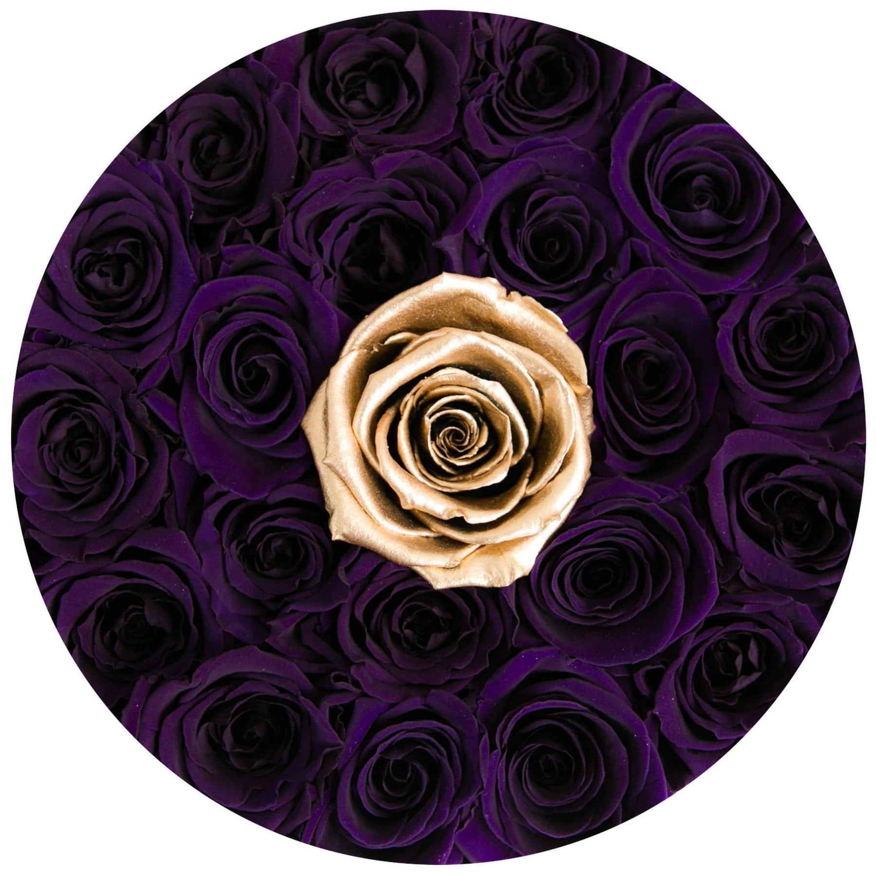 At Last Roses Purple Majestic Purple Roses That Last A Year – Palatial Petals