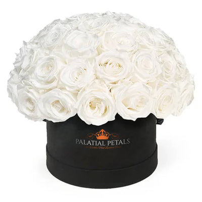White Roses That Last A Year - Classic "Dome" Rose Box