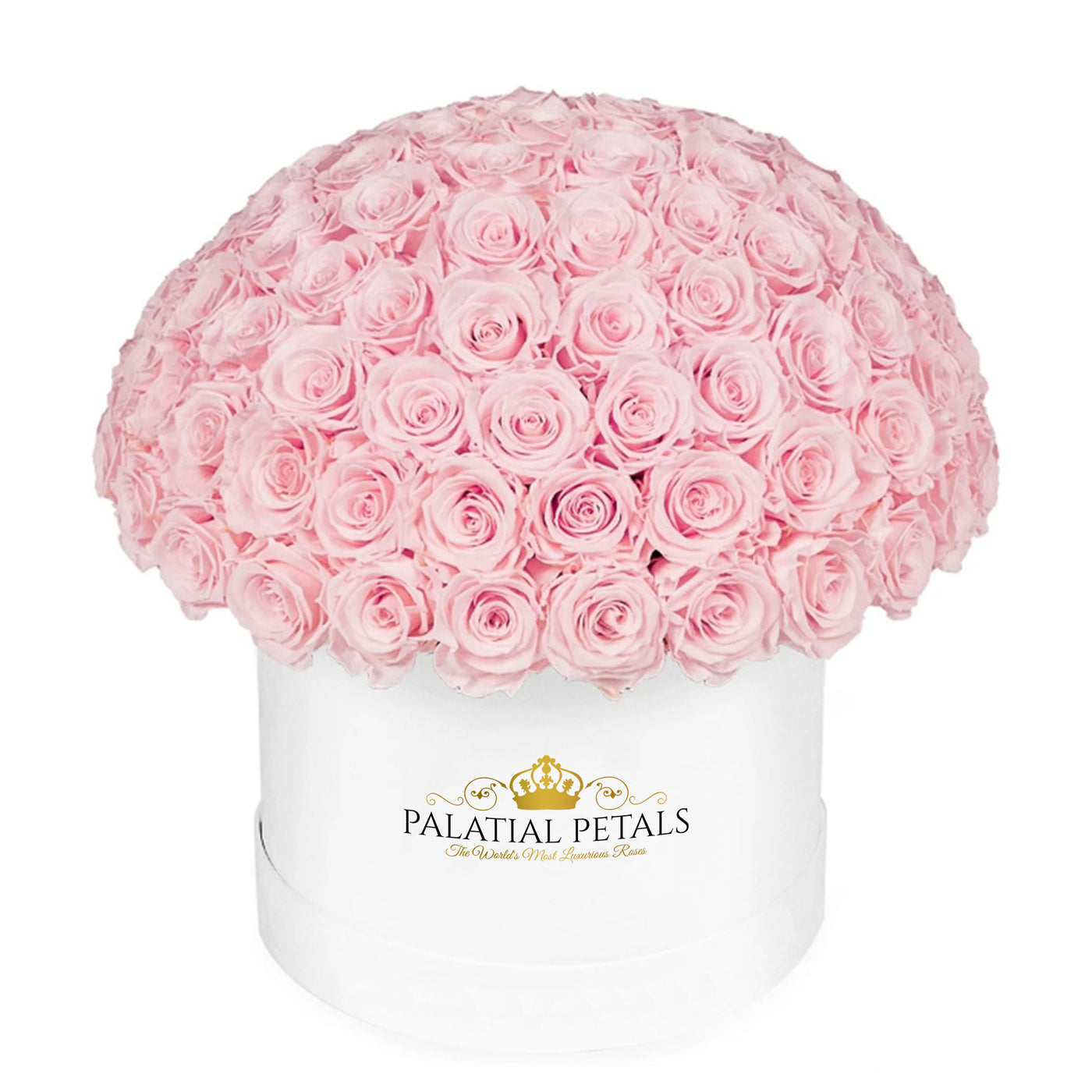 Blush Roses That Last A Year - Grande "Crown" Rose Box