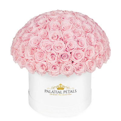 Blush Roses That Last A Year - Grande "Crown" Rose Box