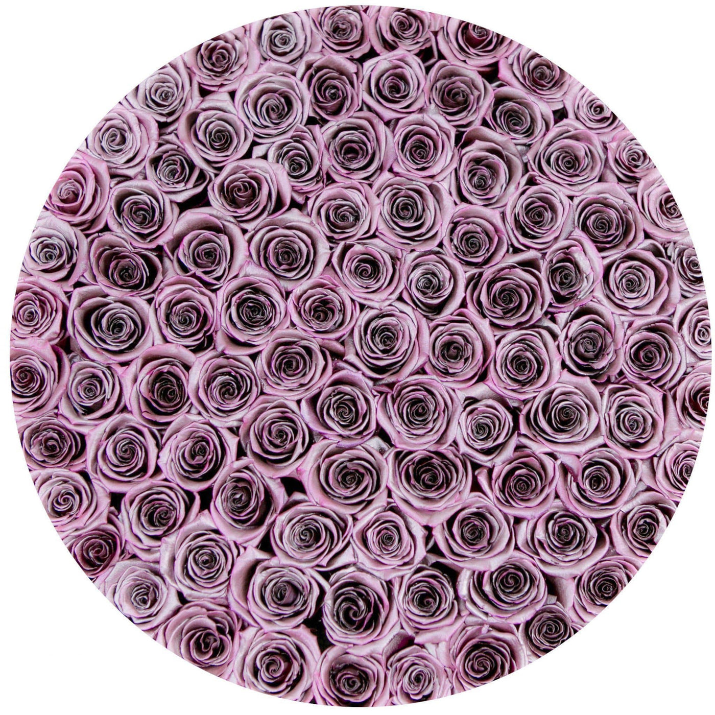 Metallic Pink Roses That Last A Year - Deluxe Rose Box
