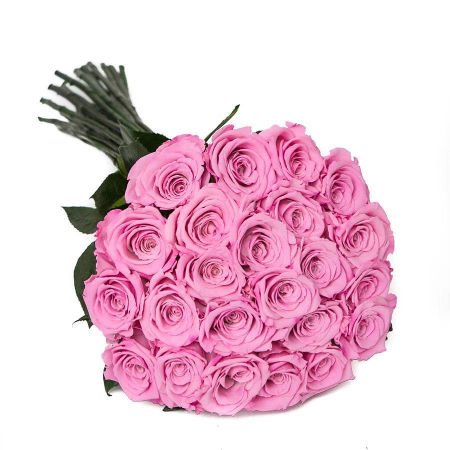 PALATIAL PETALS® Candy Pink - Long Stem Roses