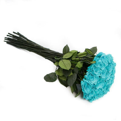 PALATIAL PETALS® Tiffany Blue - Long Stem Roses