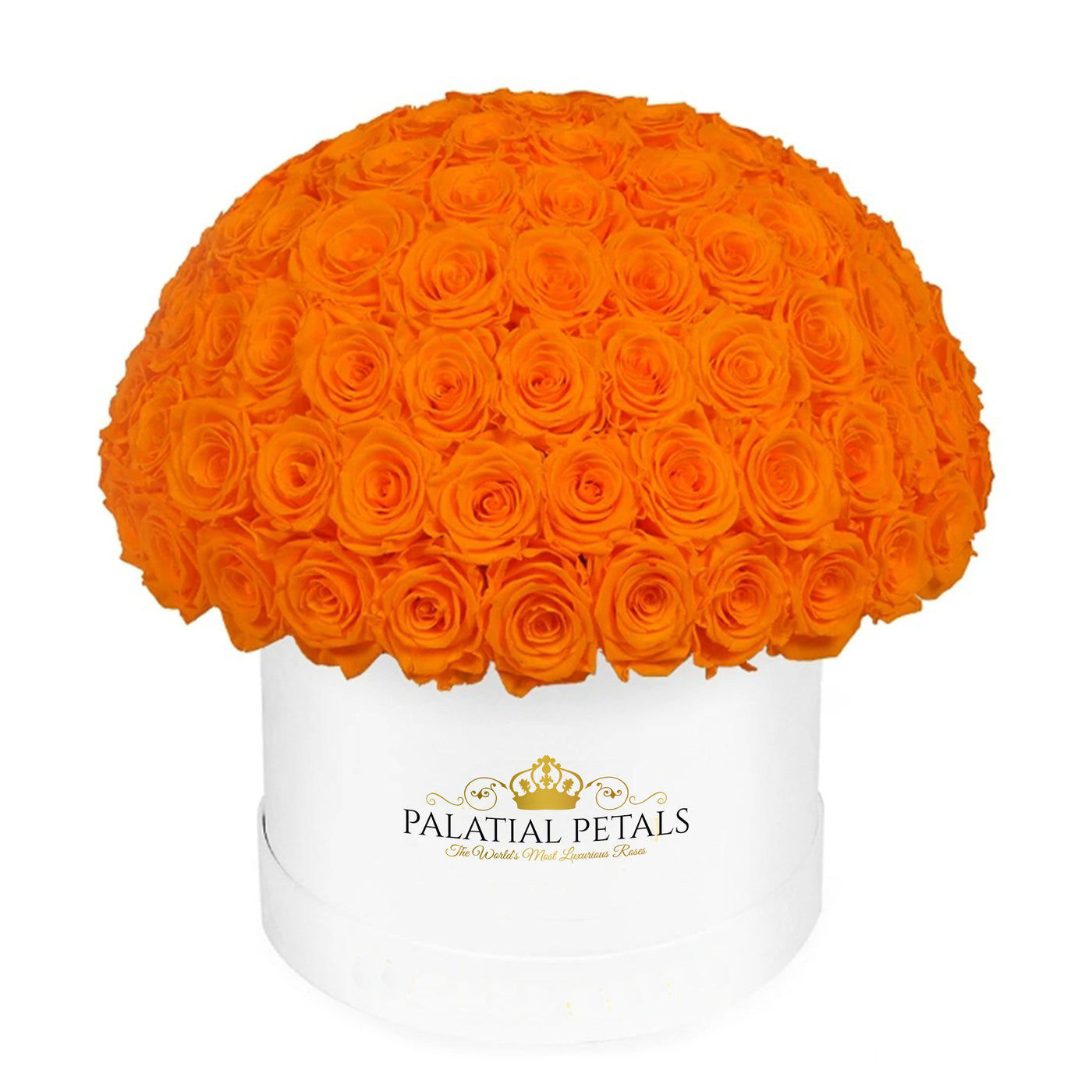 Hermès Orange Roses That Last A Year - Grande "Crown" Rose Box
