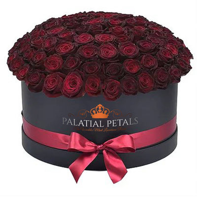 Pinot Noir Roses That Last A Year - Deluxe Rose Box