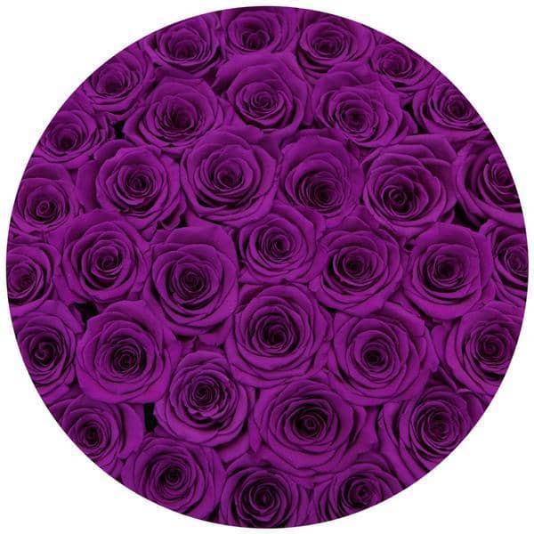 Purple Roses - Grande