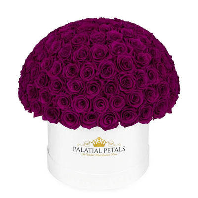 Purple Roses That Last A Year - Grande "Crown"