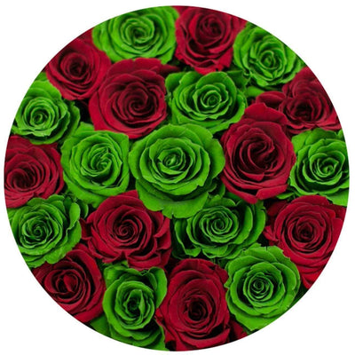 Red & Green Roses That Last A Year - Grande Rose Box