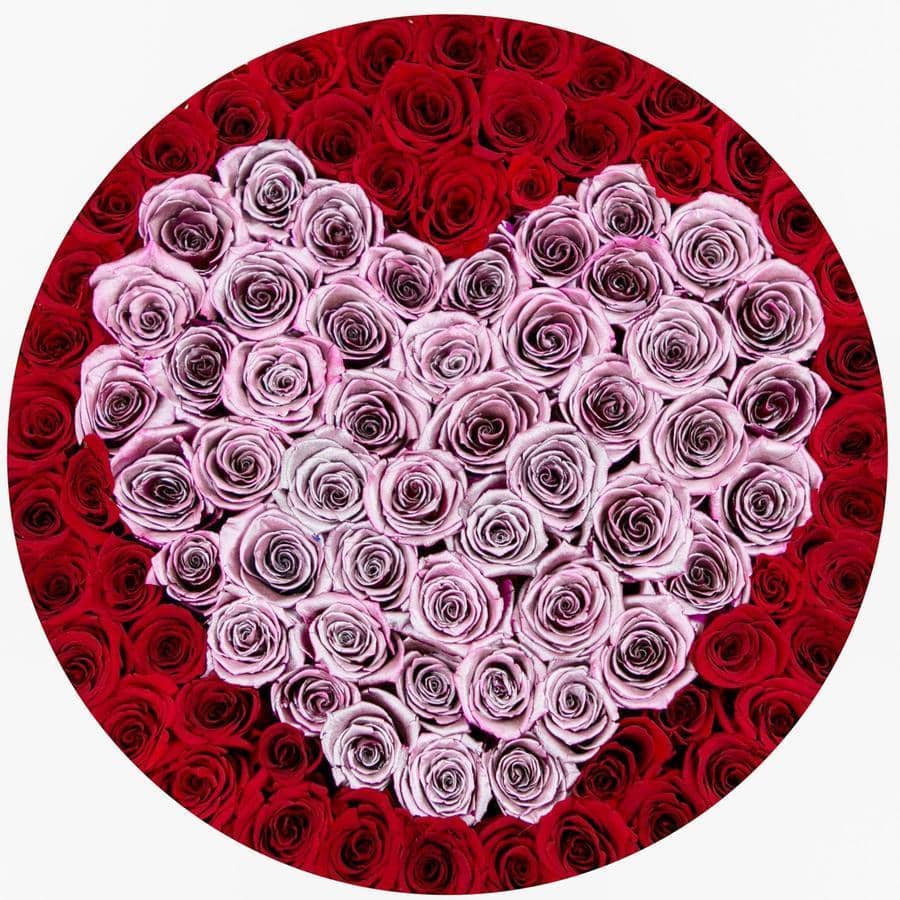 Red & Metallic Pink Roses That Last A Year - Deluxe Rose Box