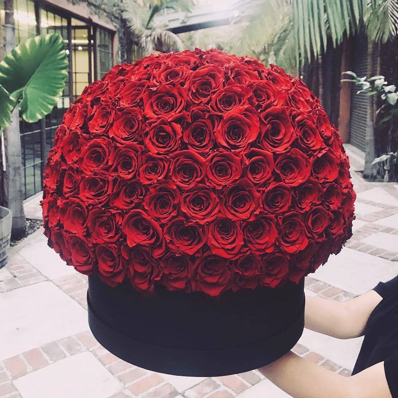 Red Roses That Last A Year (Dome) - Deluxe Rose Box