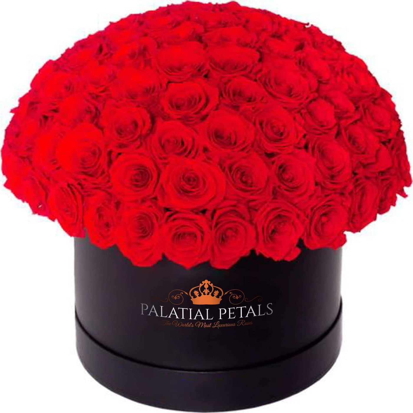 Red Roses That Last A Year - Grande "Dome 360" Rose Box
