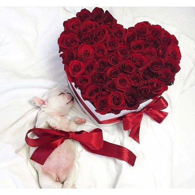 Louboutin Red Roses - Love Heart