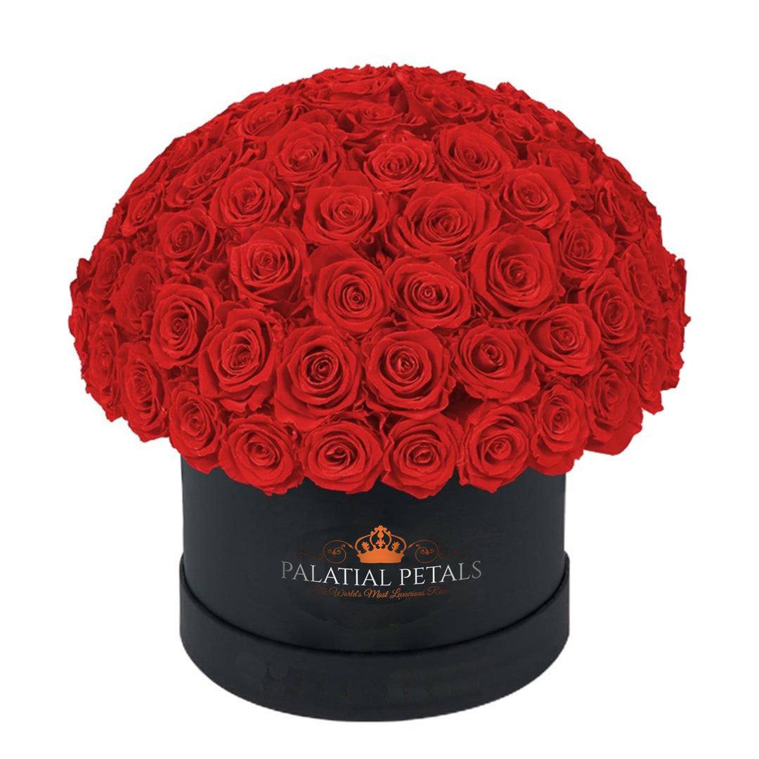 Grande Dome Red Forever Roses – Large Luxury Preserved Rose Box