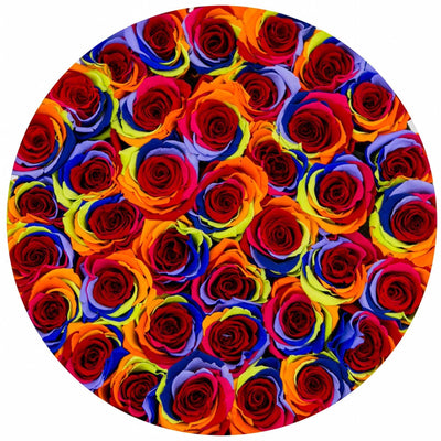 Rainbow Roses That Last A Year - Grande Rose Box