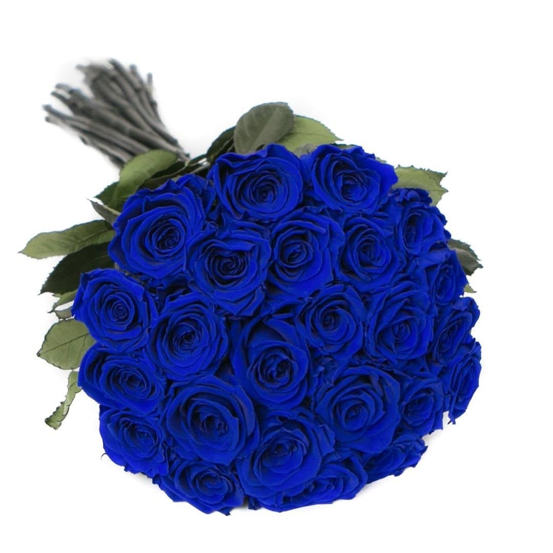 Royal Blue Long Stem Roses – 24 Preserved Roses | Palatial Petals ...
