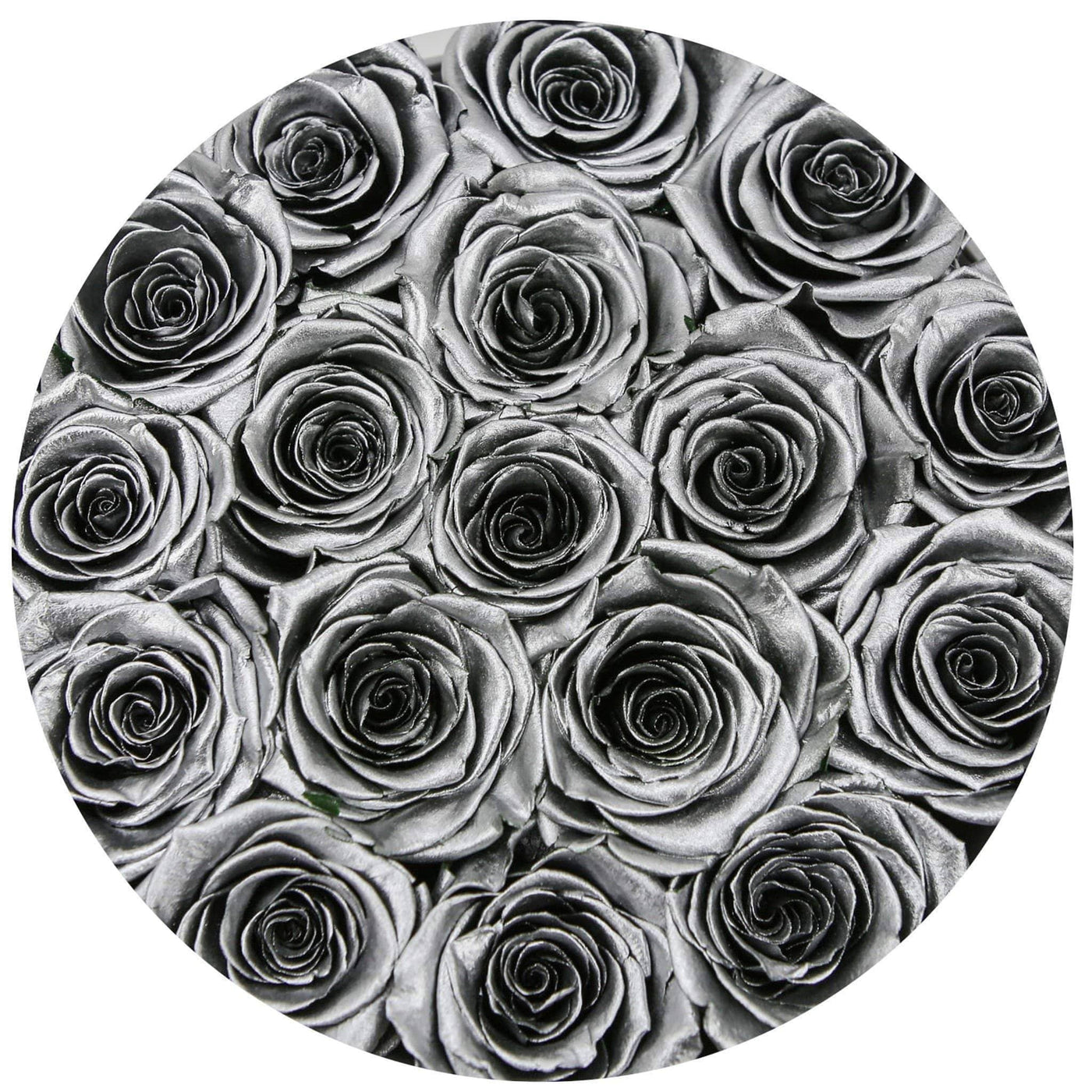 Silver Roses - Classic
