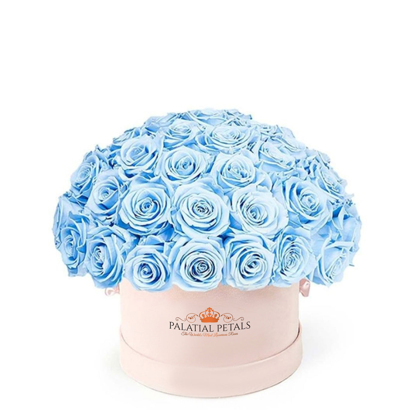 Baby Blue Roses That Last A Year - Classic "Crown"