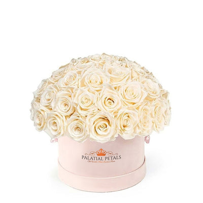 Blush Roses That Last A Year - Classic Rose "Crown"