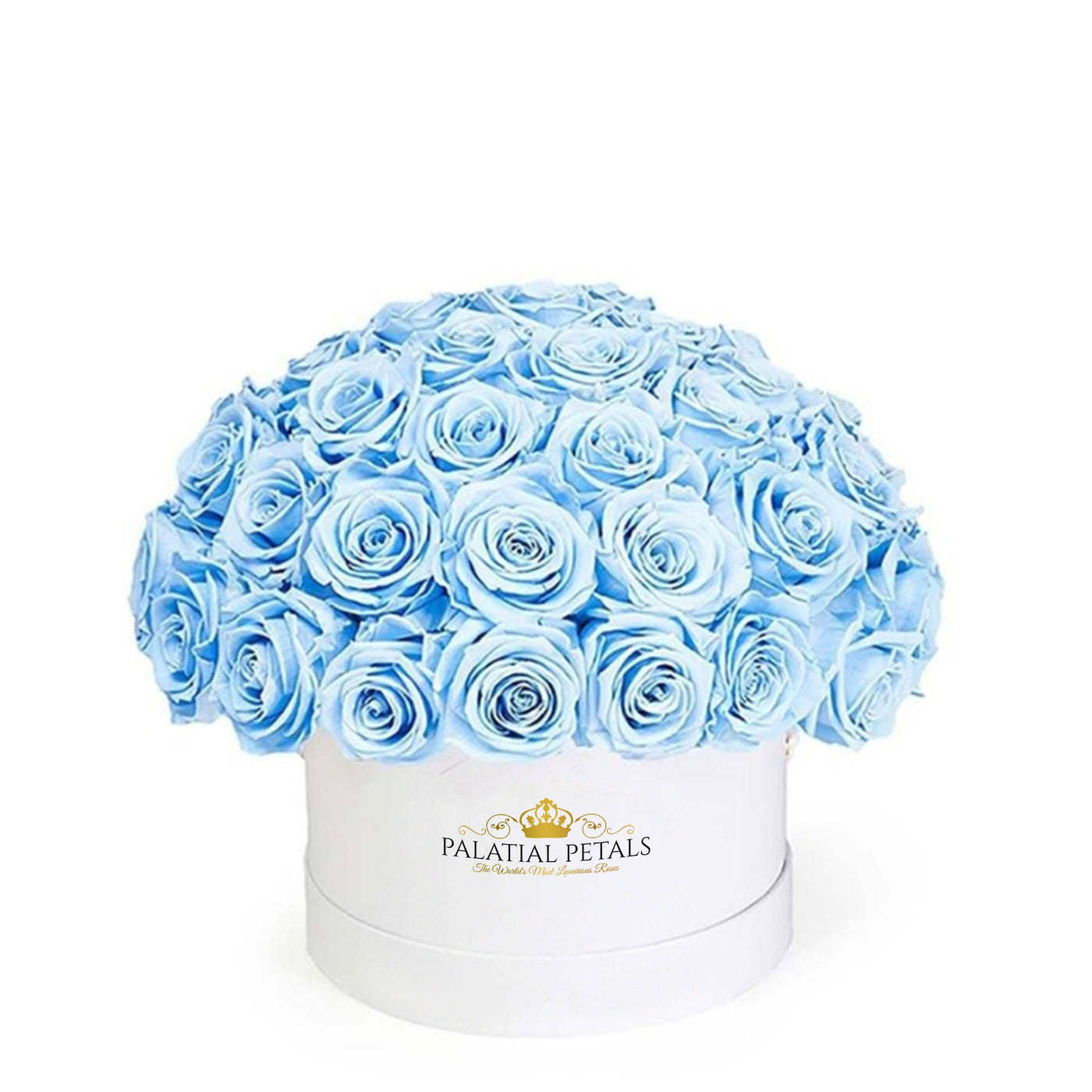 Baby Blue Roses That Last A Year - Classic "Crown"