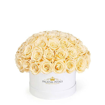 Beige Roses That Last A Year - Classic "Crown"