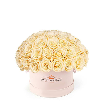 Beige Roses That Last A Year - Classic "Crown"