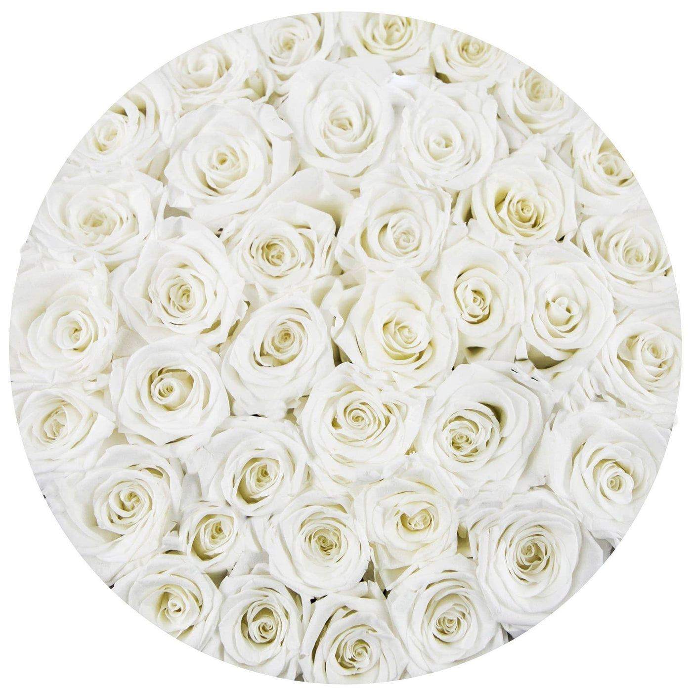 White Roses That Last A Year - Grande Rose Box