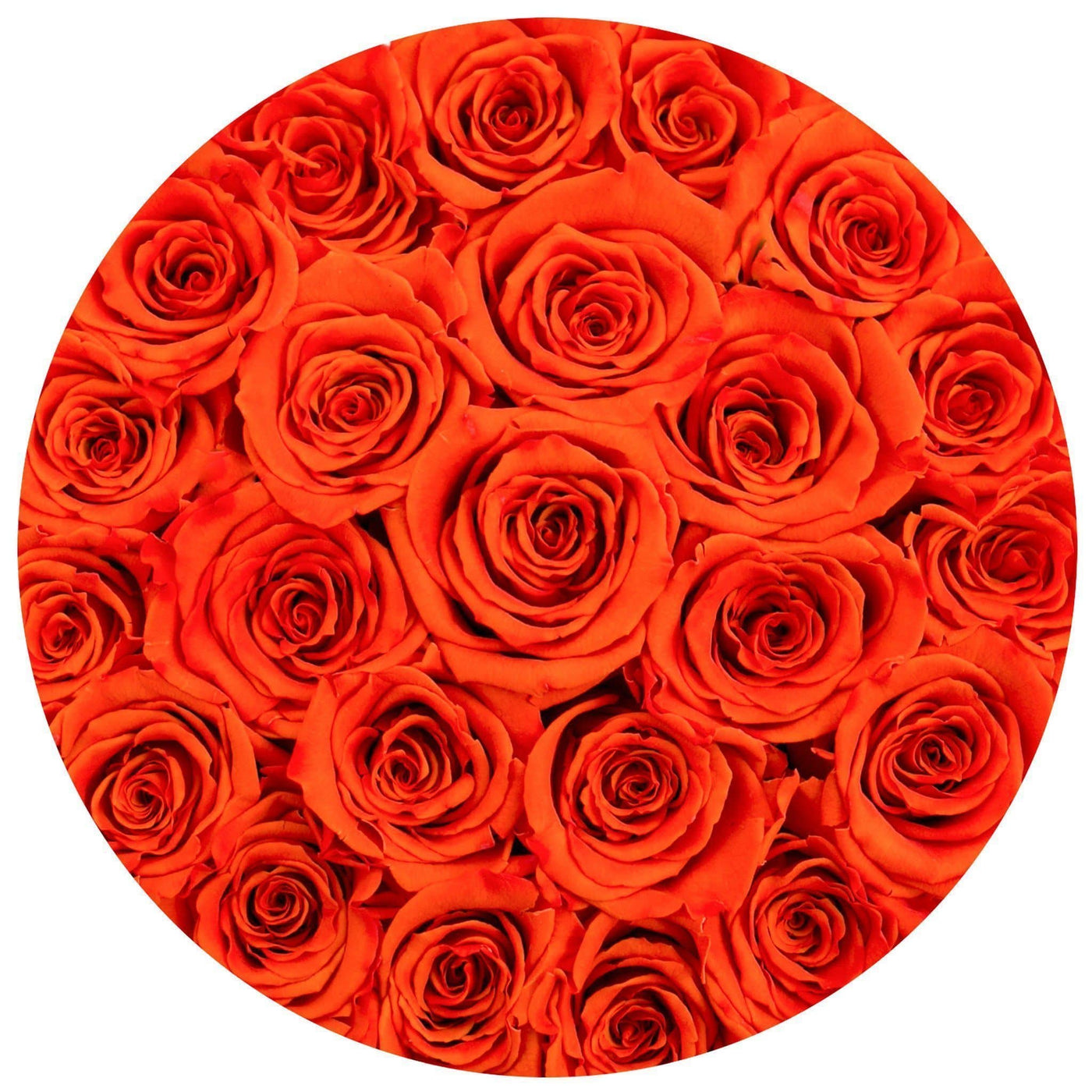 Hermès Orange Roses - Classic