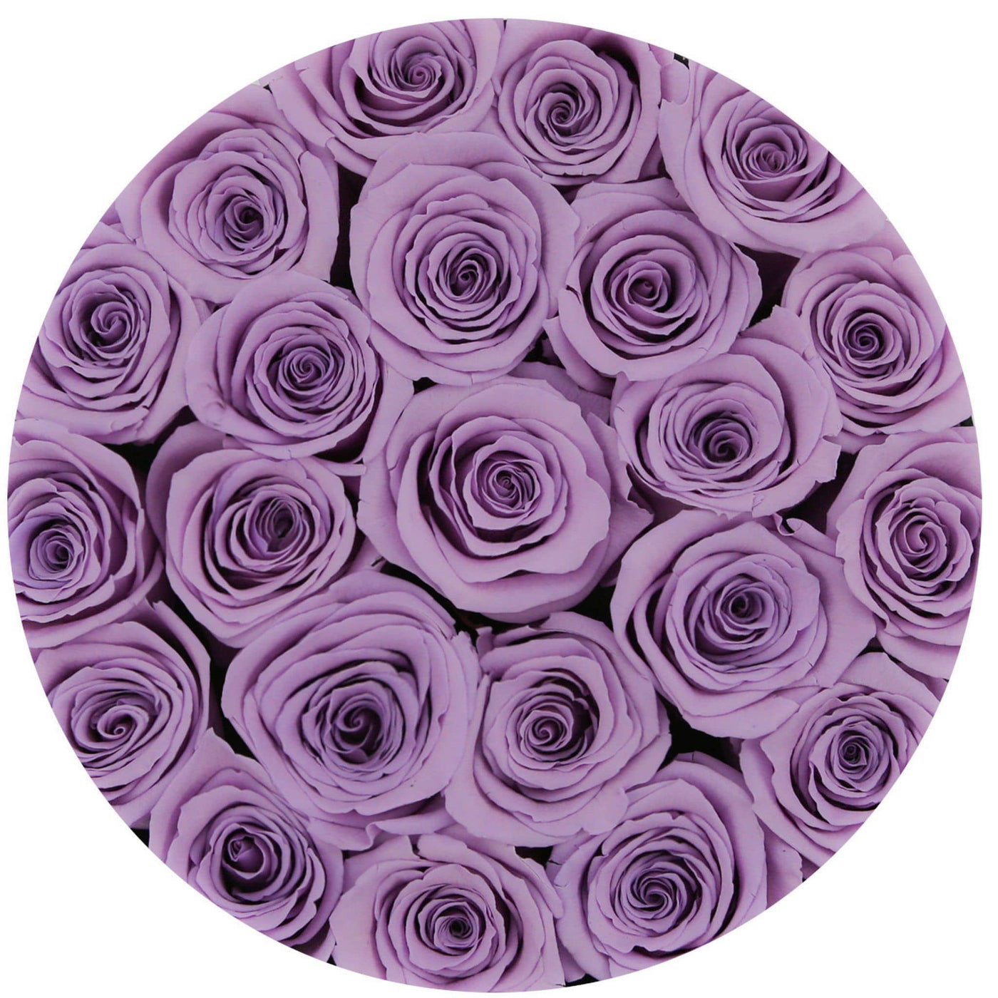 Lavender Roses That Last A Year - Classic Rose Box