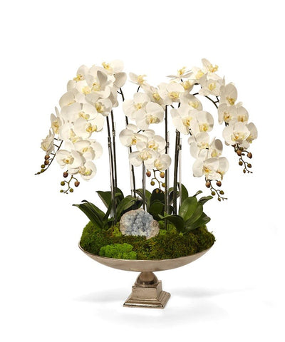 Orchid and Crystal in Large Silver Urn