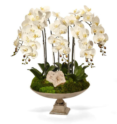 Orchid and Crystal in Large Silver Urn