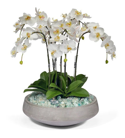 Orchids with Fluorite in Concrete Bowl