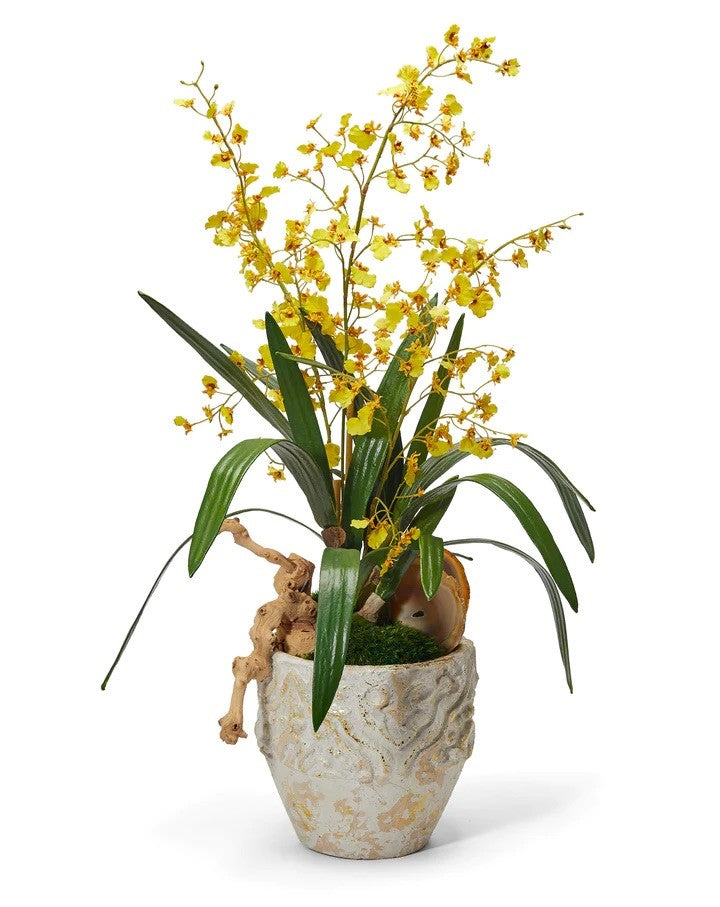 Yellow Dancing Orchids