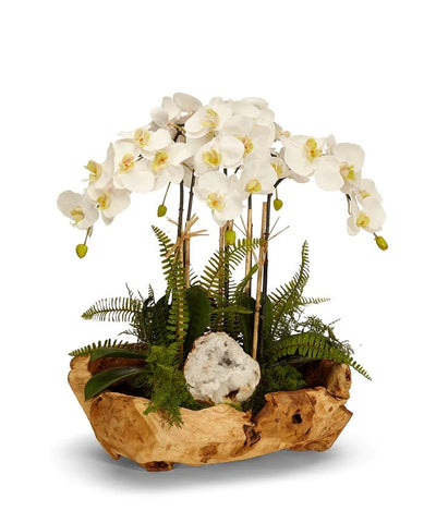 Orchids in Wood Bowl