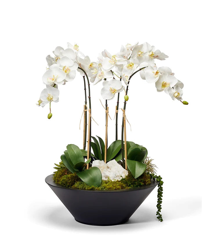 Orchids in Sleek Round Container