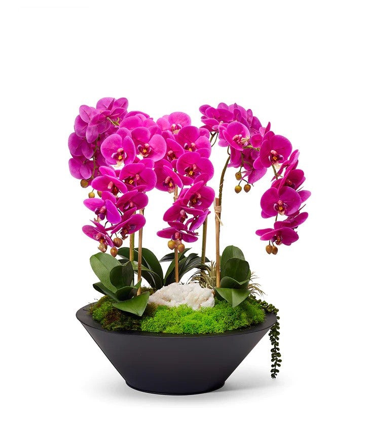 Orchids in Sleek Round Container
