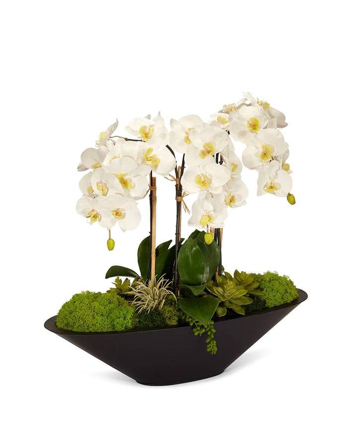 Orchids in Large Metal Container
